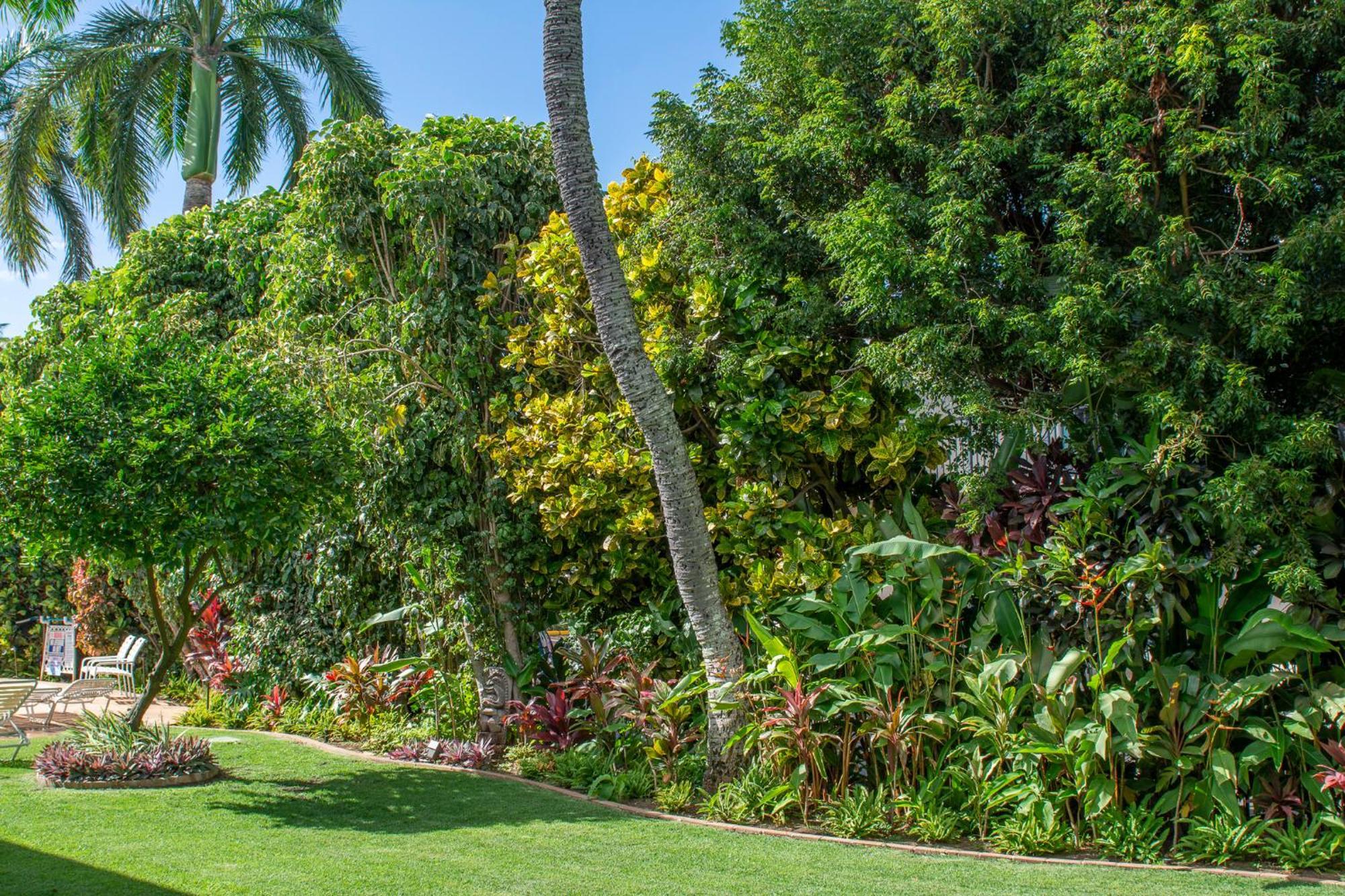 Napili Surf Beach Resort By Castle Kapalua Kültér fotó